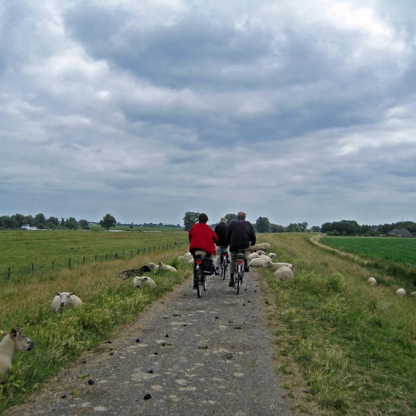 Tussen Eindhoven en Sint-Oedenrode
